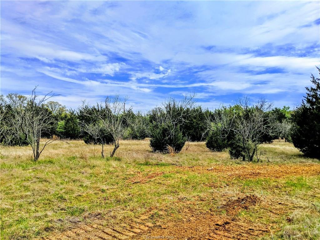 TBD Private Lane - Photo 1