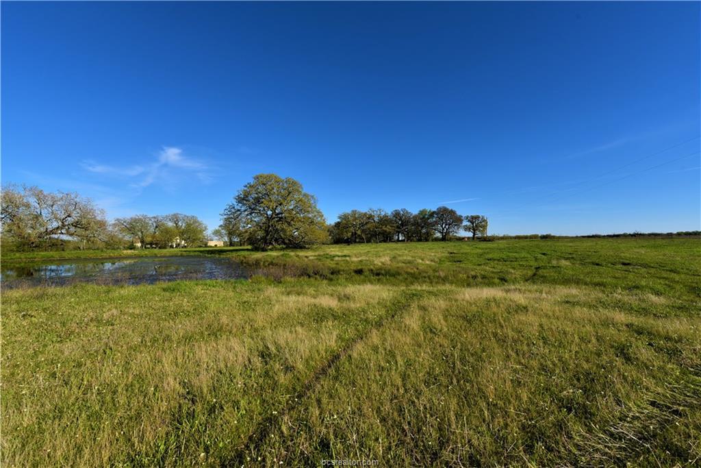 (+/-46.95) County Road 328 - Photo 1