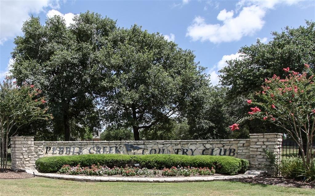 5203 Sage Valley Court - Photo 1