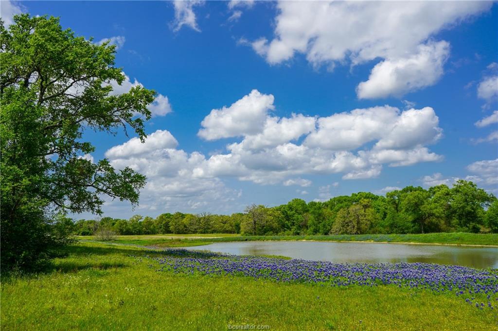 00 County Road 185 - Photo 1