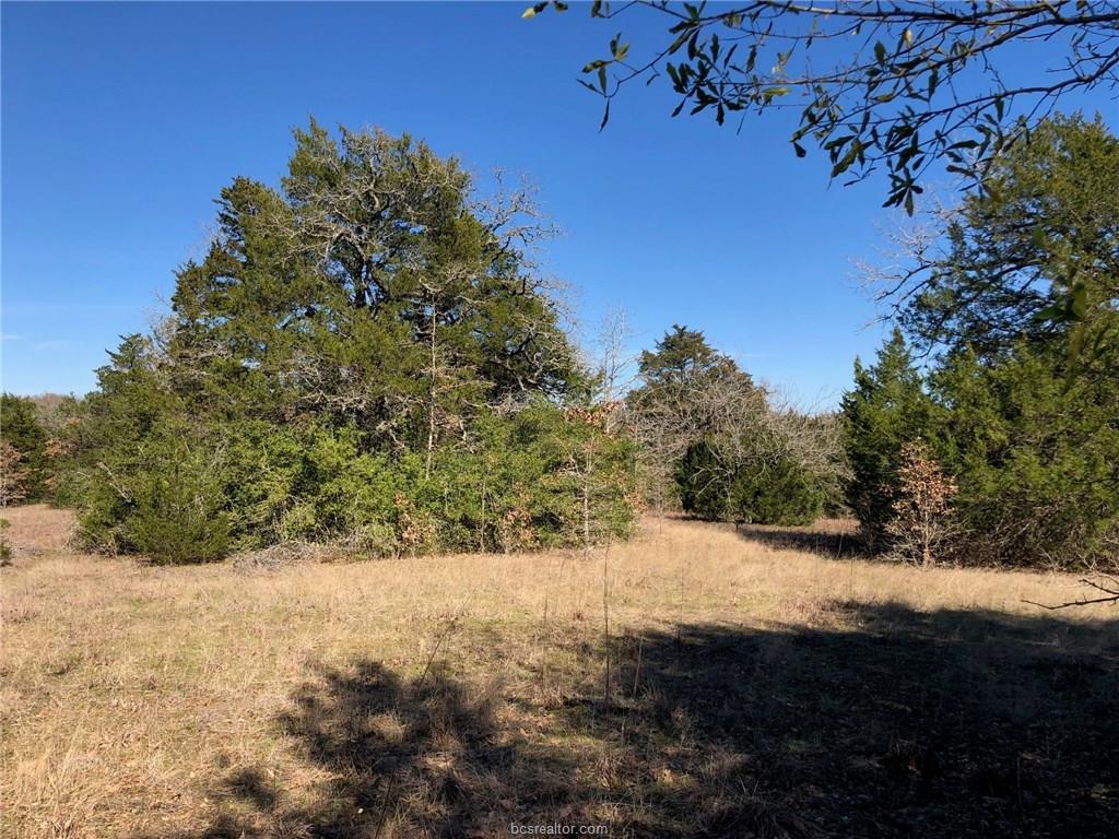 (+/-20 acres) TBD Sunnyside Rd - Photo 1