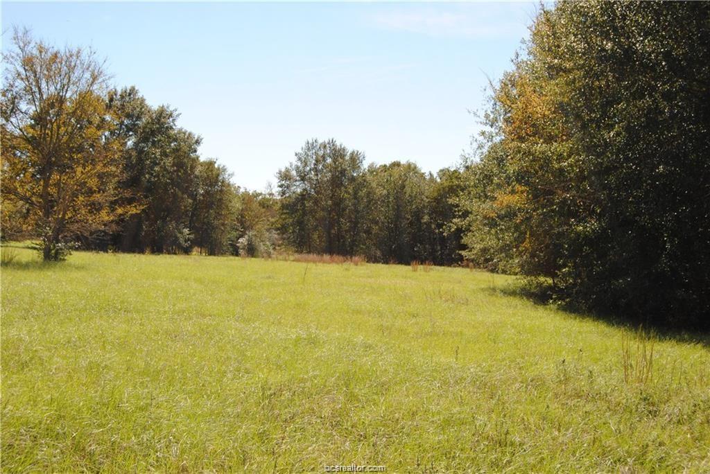 89 Acres County Road 353 - Photo 1