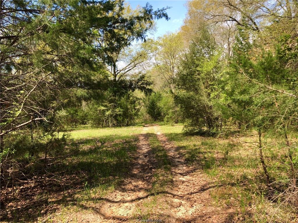 (+/-80 acres) TBD Sunnyside Rd - Photo 1 (+/-80 acres) TBD Sunnyside Rd - Photo 1