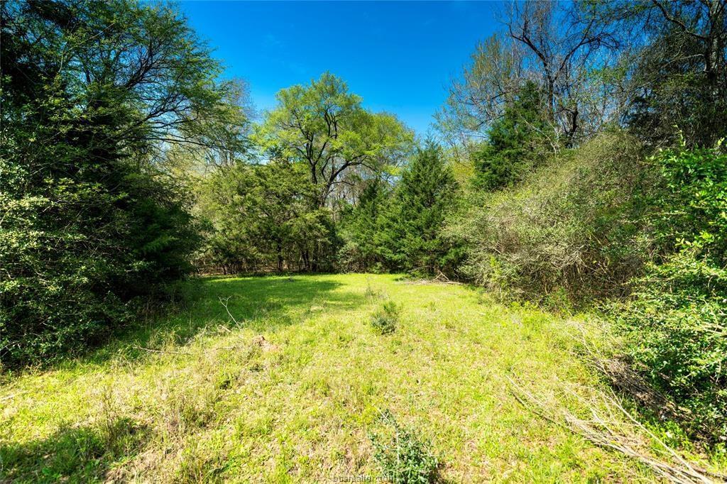 TBD Tract 4 Fm 3091 - Photo 1