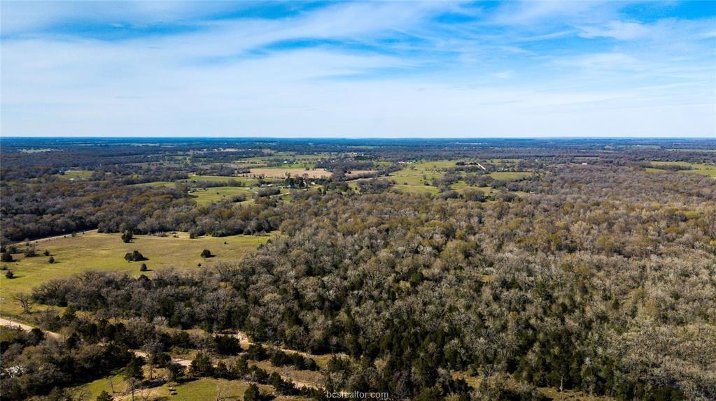 TBD TRACT 11 Fm 3091 - Photo 1