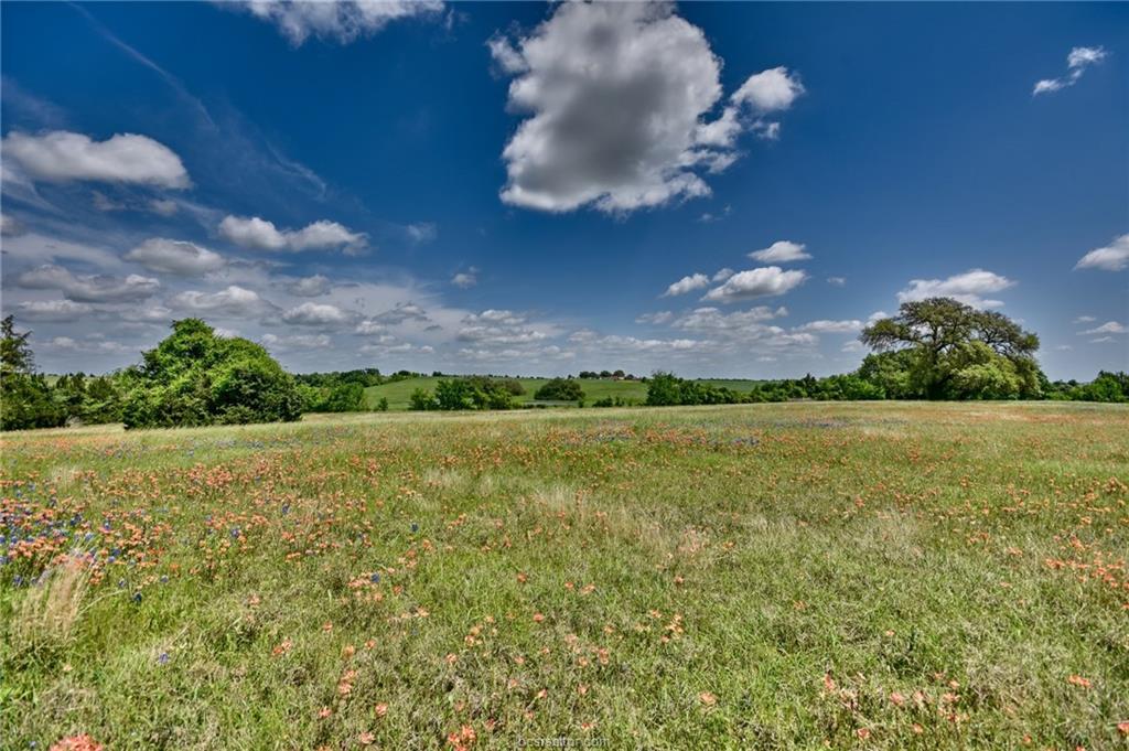 000 Spreen Road - Photo 1