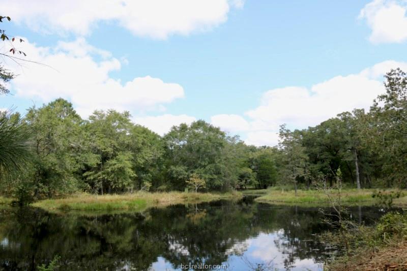 TBD County Road 157 - Photo 1