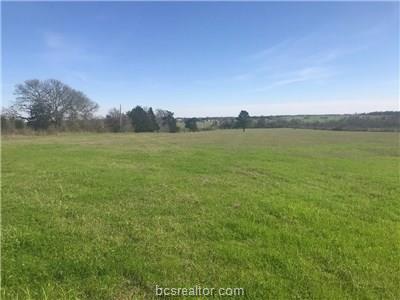 TBD 25 acres County Road 220 Road - Photo 1