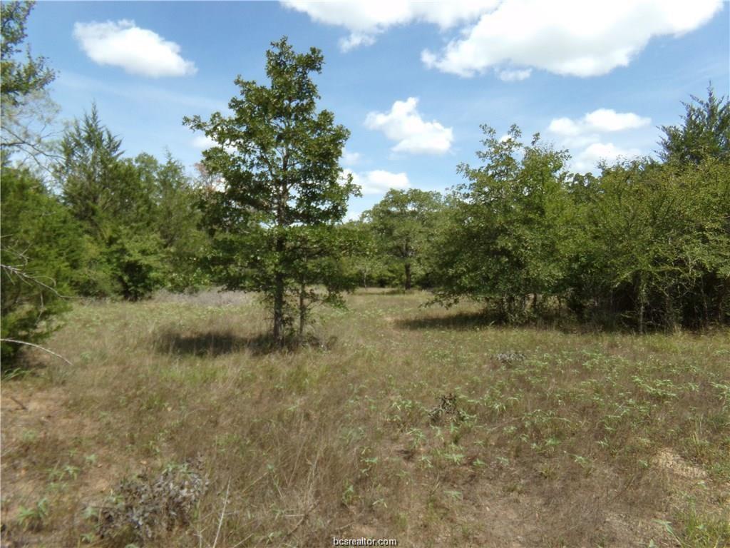 9999 Old Boone Prairie Road - Photo 1