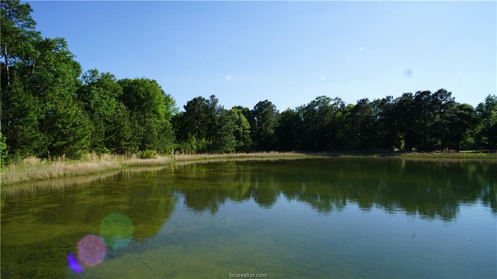 29200 Clydesdale Drive - Photo 1