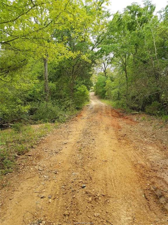 18242 Old Bundick Road - Photo 1