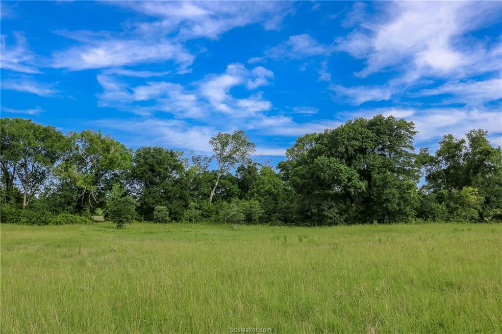9489 Bishop Bend - Photo 1