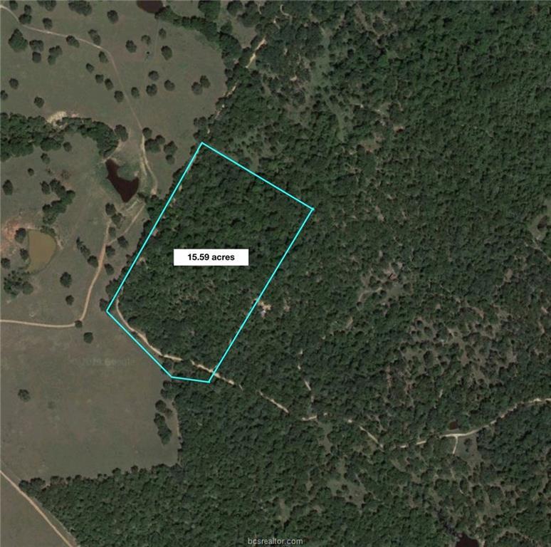 TBD Old Bundick Road - Photo 1