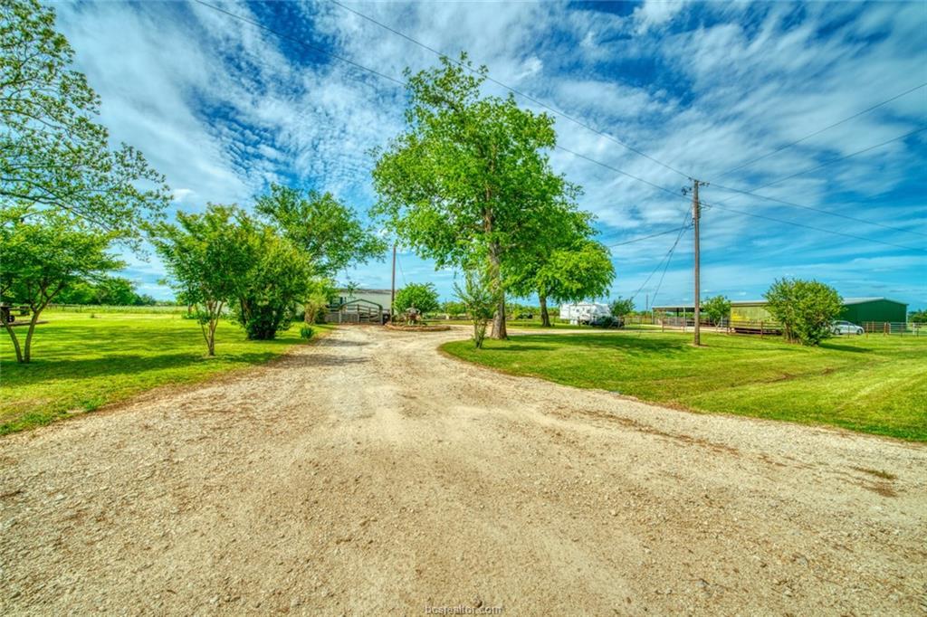 407 Cedar Creek Road - Photo 1