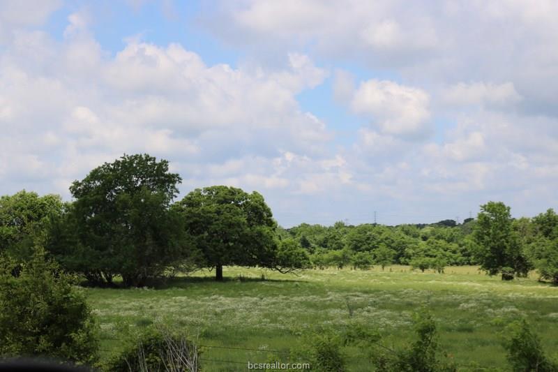 TBD 12 Acres Riva Ra Fm 149 E - Photo 1