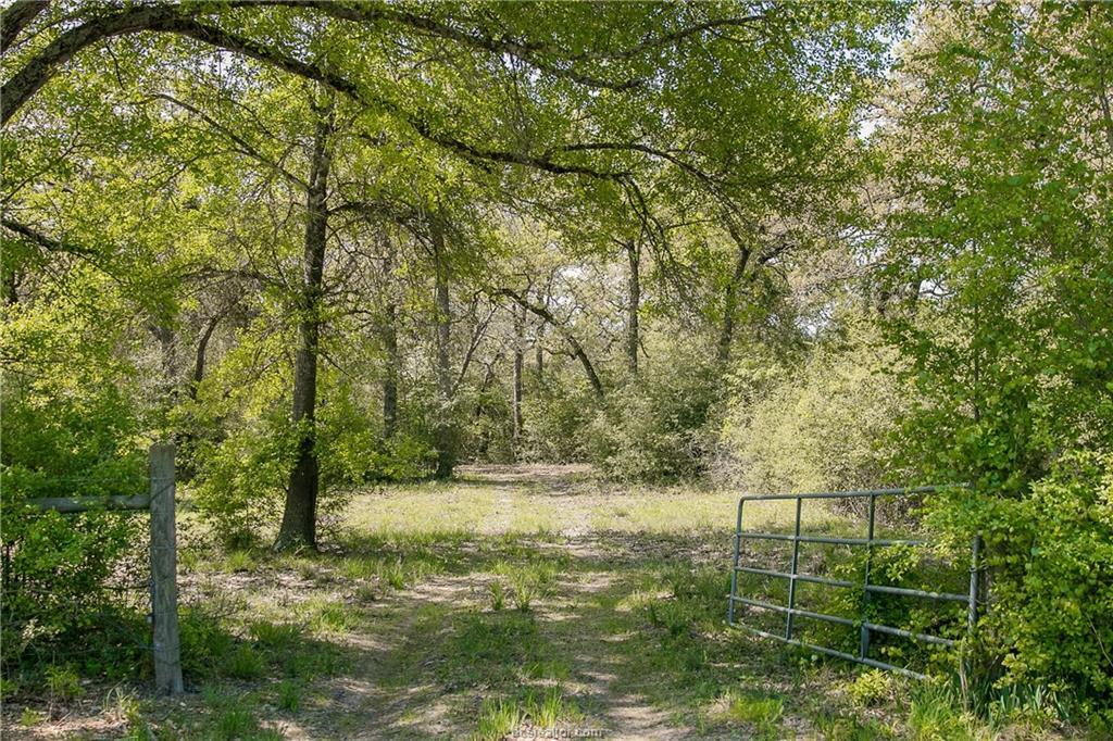 TBD Cr 316 (+/-102 Acres) - Photo 1