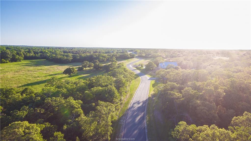 1.655 acres Millican Meadows Circle - Photo 1