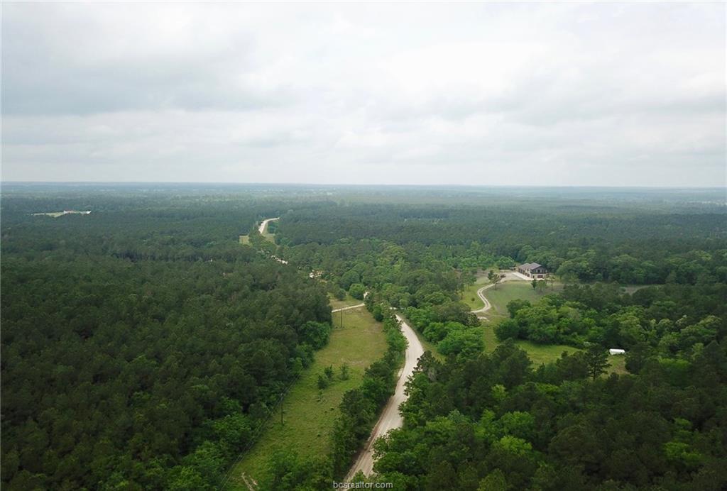 TBD County Road 208 - Photo 1