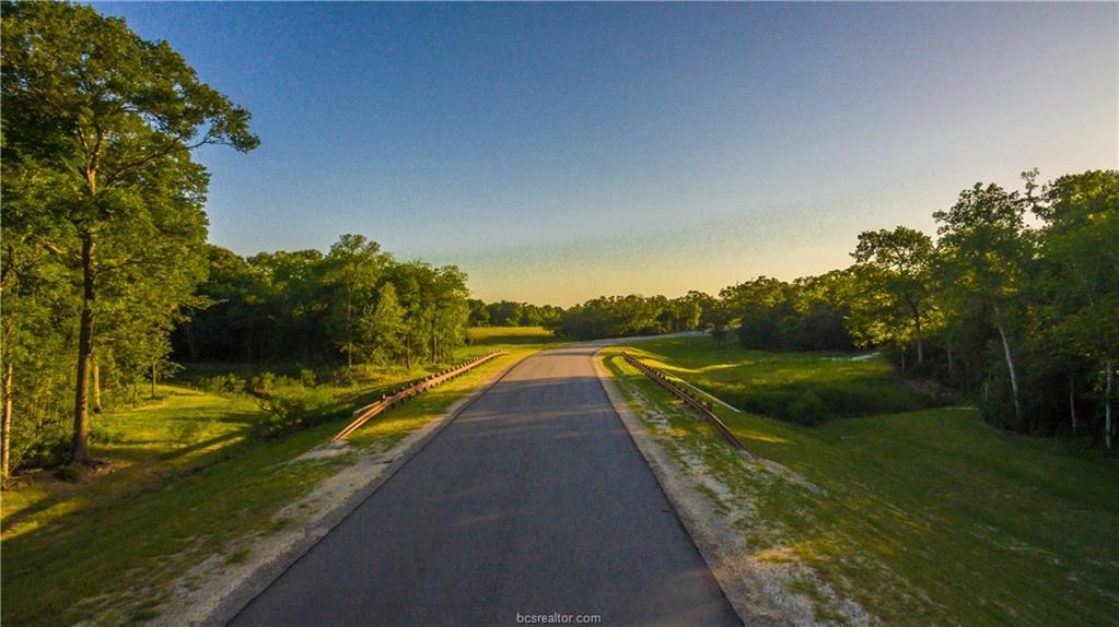 1662 Millican Meadows Circle - Photo 1