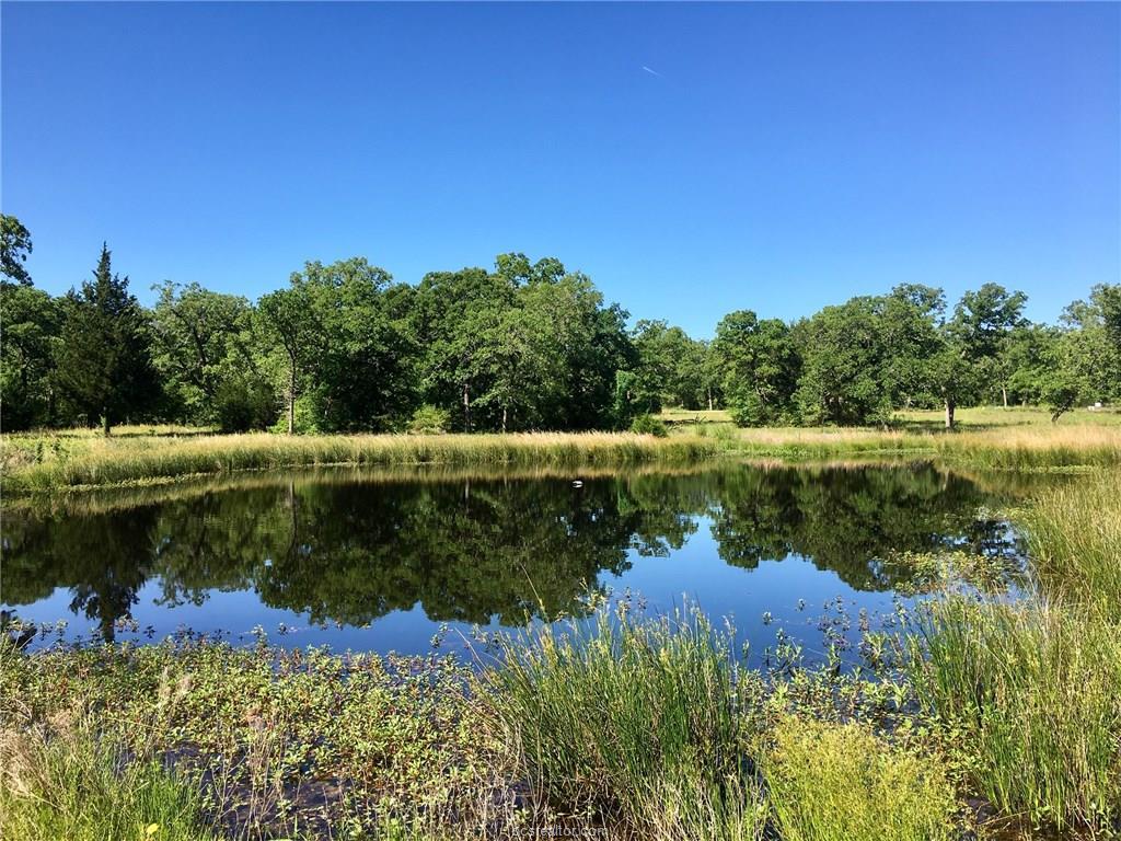 10217 Albert Dr. - Photo 1
