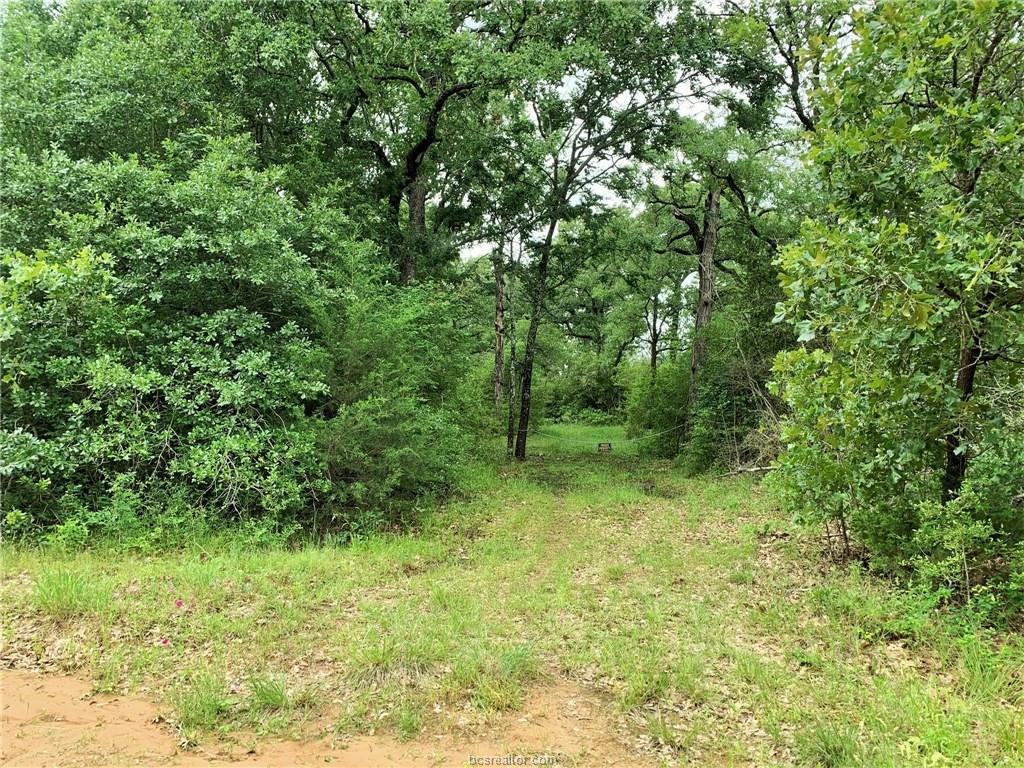 +/- 8 Acres Pr 1001 - Photo 1