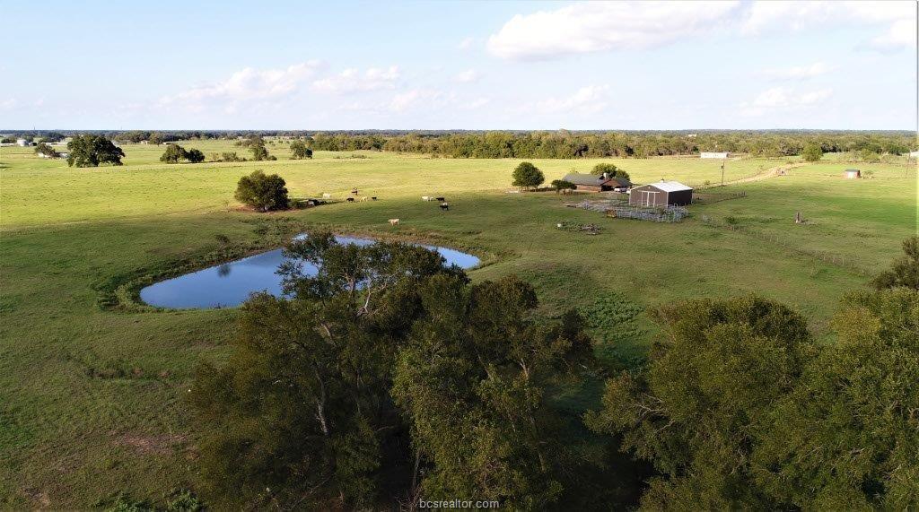 11867 Fm 2159 (+/- 100 Acres) - Photo 1