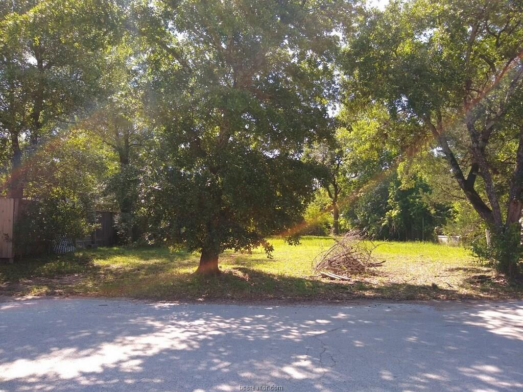 205 Lynn Drive - Photo 1
