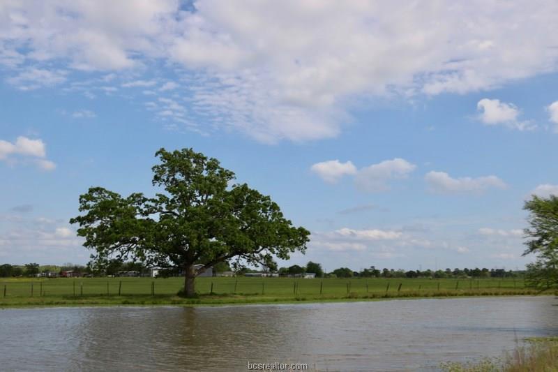 15130 Fm 39 Road - Photo 1