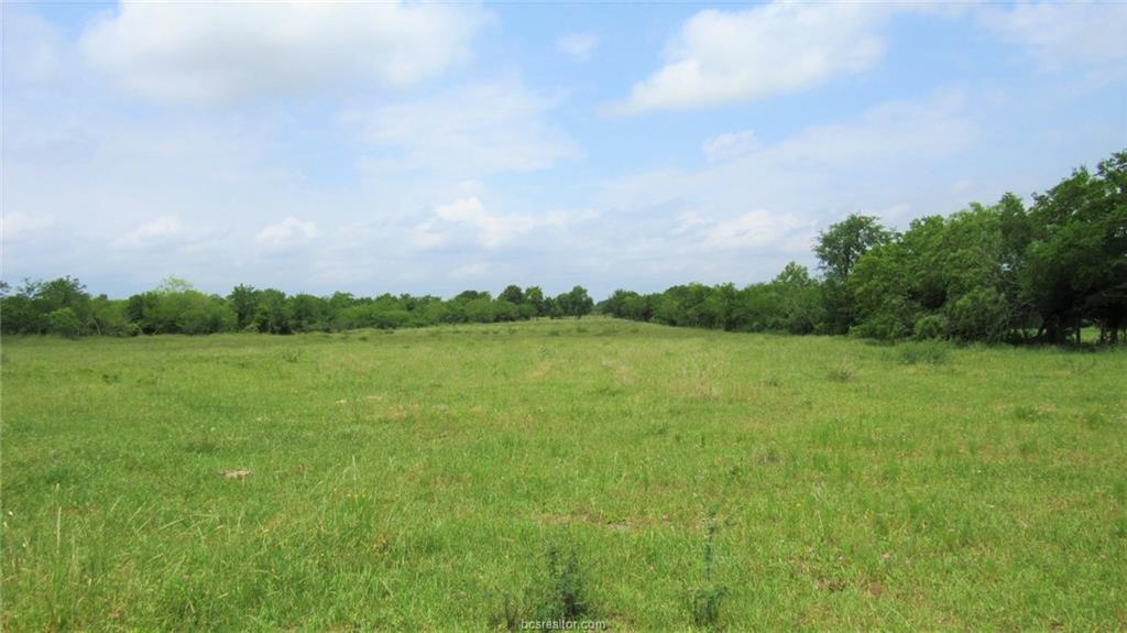 4.7 Acres Cr 108 - Photo 1