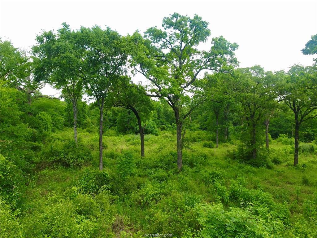 000 River Ridge Drive - Photo 1
