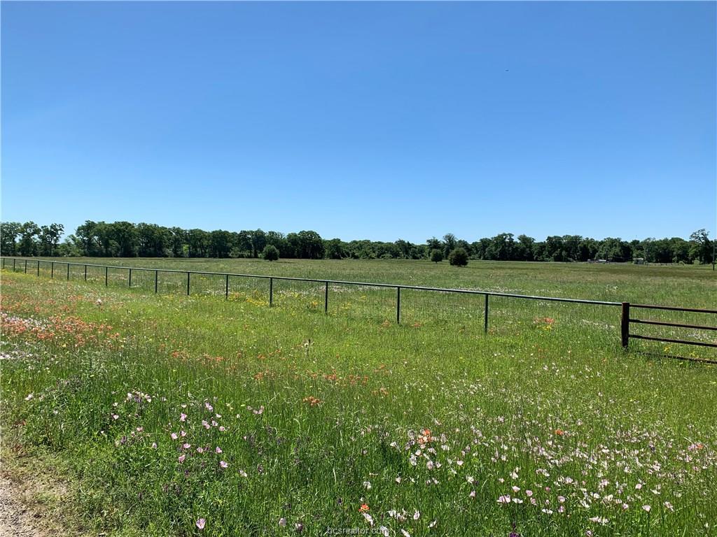 6935 Fm 1372 Road - Photo 1