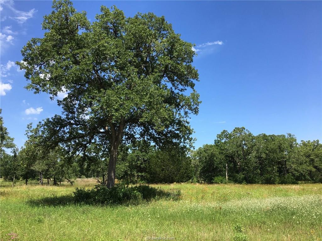 10190 Cambridge Drive - Photo 1