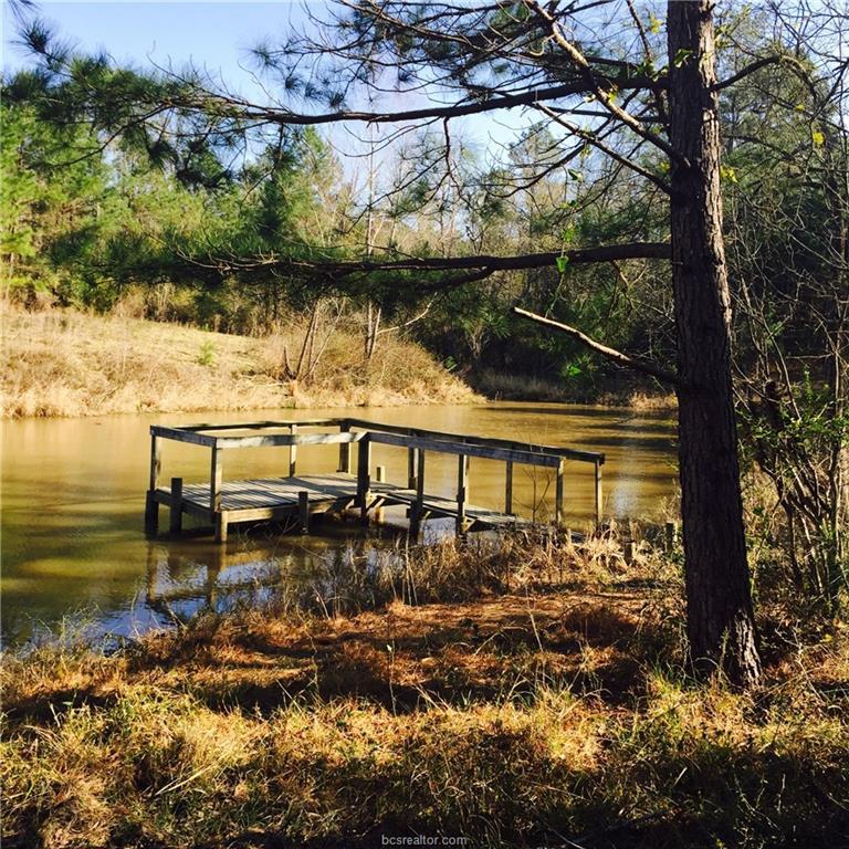 5275 Whitaker Way - Photo 1