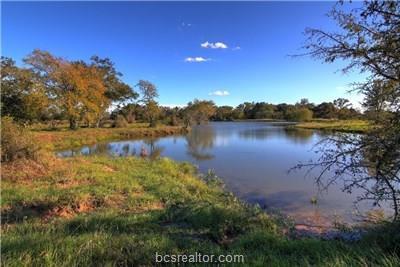 TBD Cr 415 County Road - Photo 1