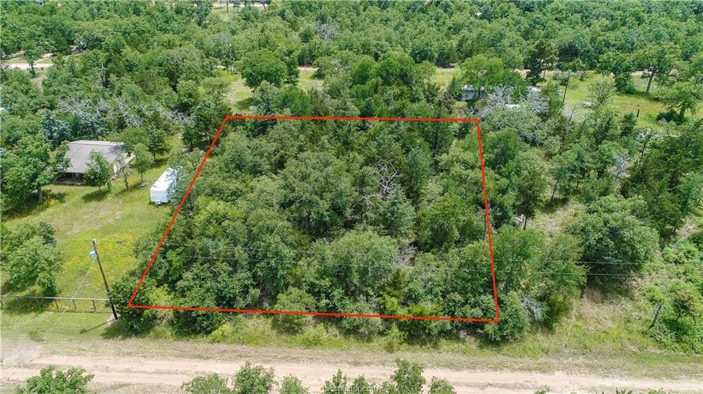 456 Loganberry - Photo 1