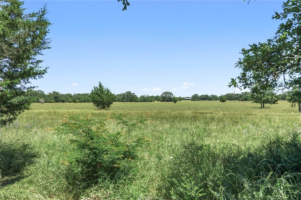 4599 Oakwood Estates Lane - Photo 1