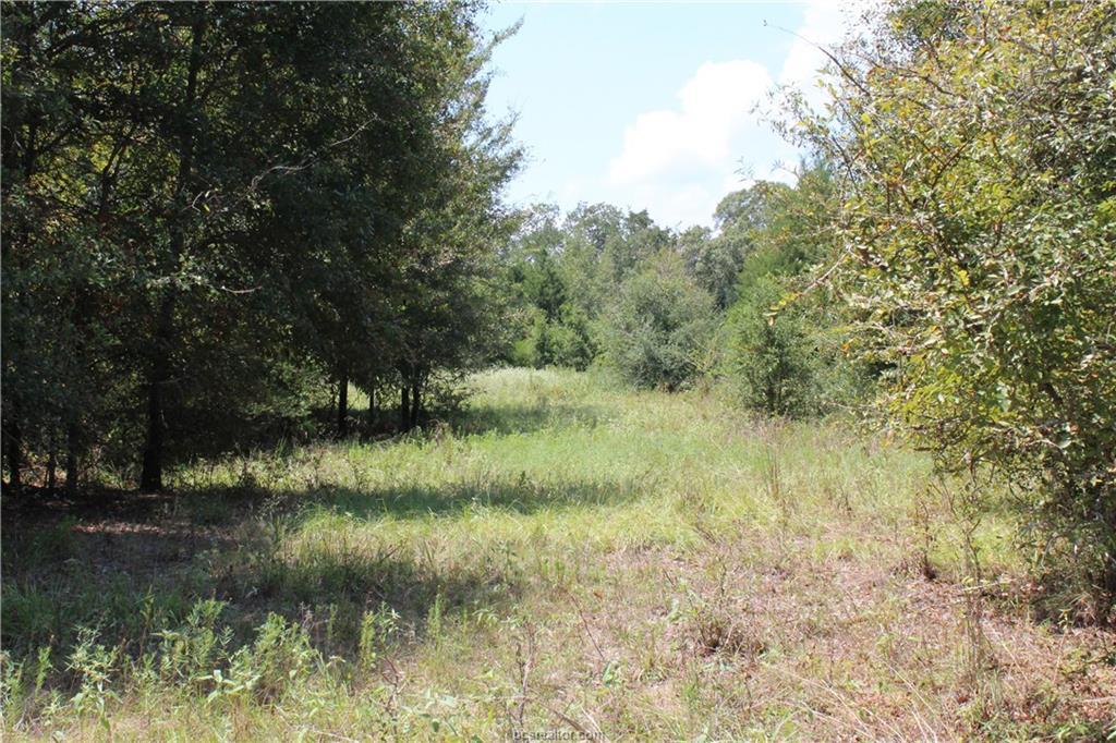 9511 Puddin Lane - Photo 1