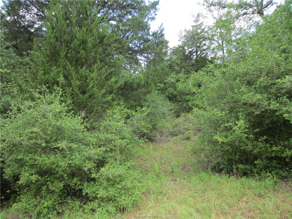 Lot 5 Pr 5746 - Photo 1