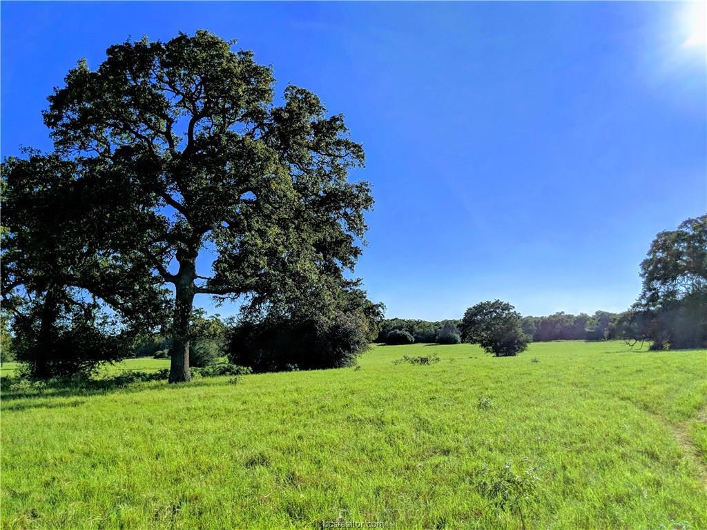 4100 Mitch Mcmillan Road - Photo 1