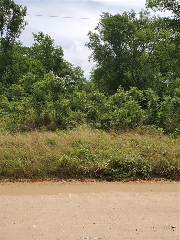 268 Yaupon Drive - Photo 1