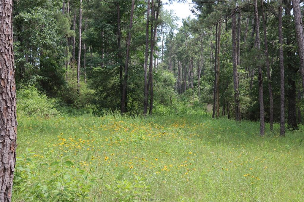 6218 County Road 302 - Photo 1