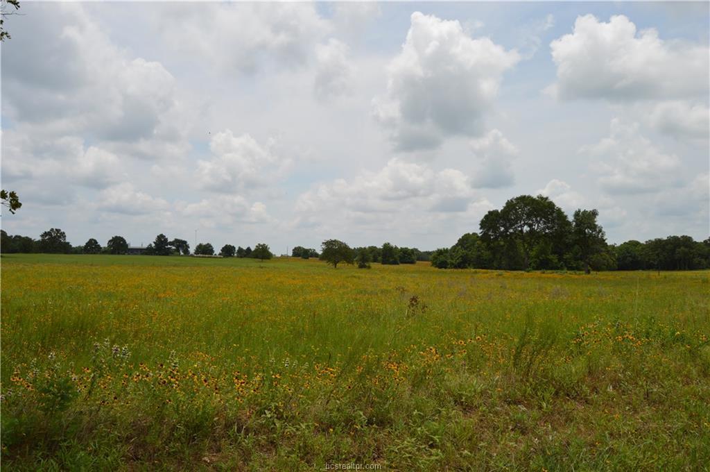 +/-2.568 Ac. Red Bank Road - Photo 1