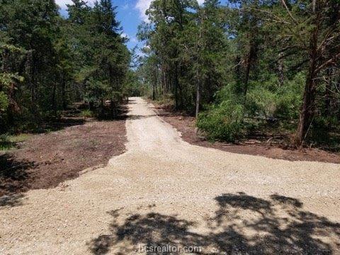1104 Pack Lane Lot 1 - Photo 1