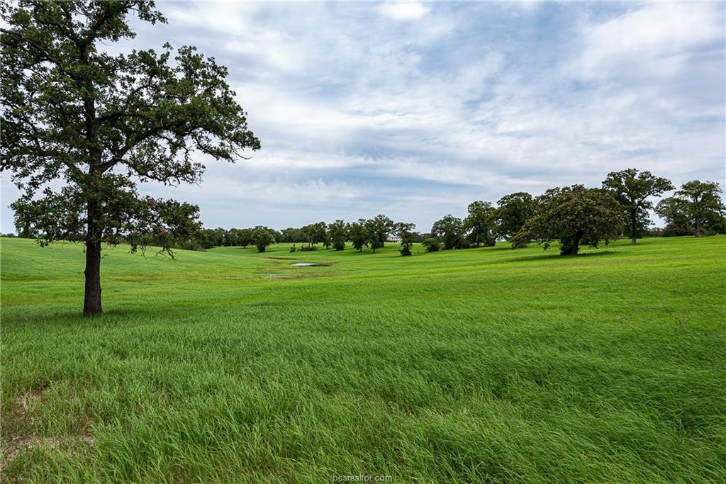 6082 County Road 308 (145 Acres) - Photo 1