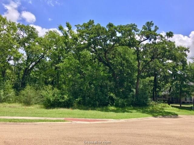 3221 Elm Creek Court - Photo 1