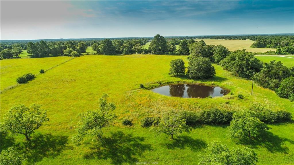 (+/- 7.7 acres) County Road 318 - Photo 1