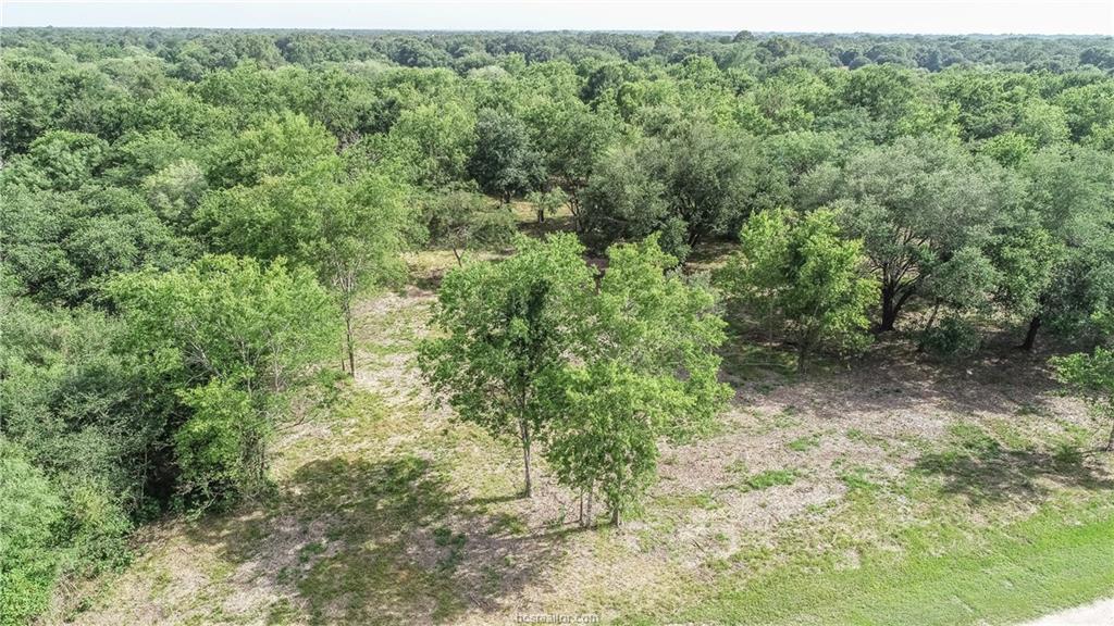 134 Pin Oak Lane - Photo 1