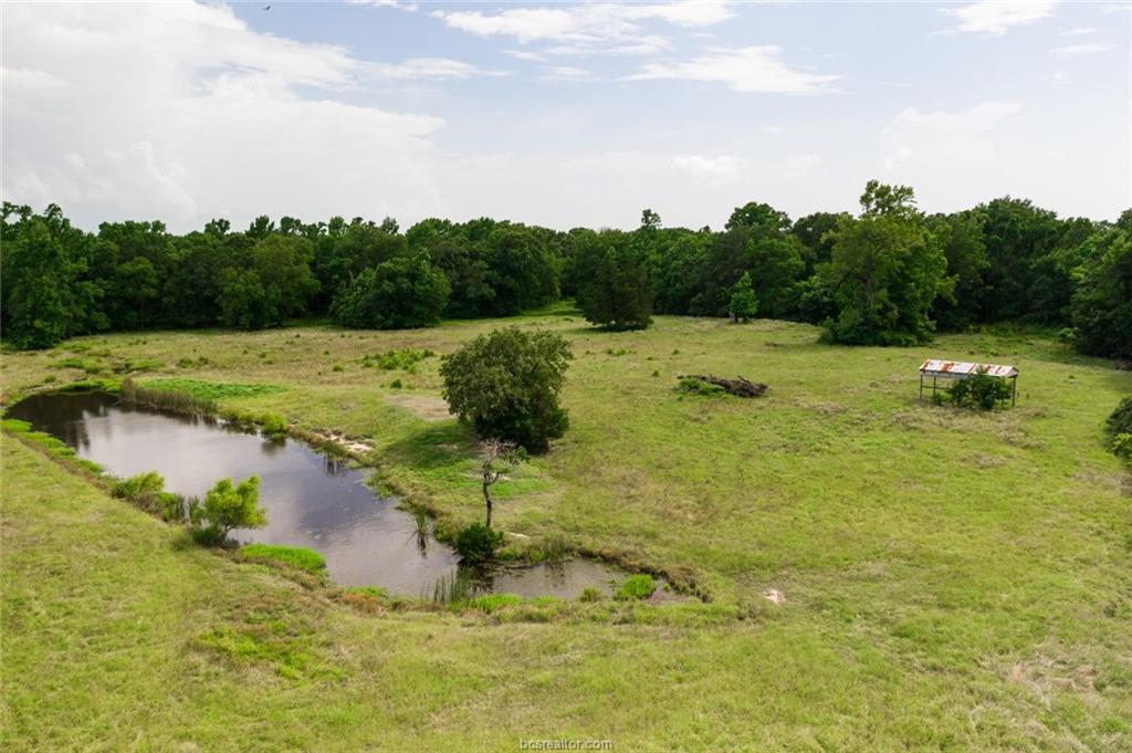 TBD Pearson Road - Photo 1