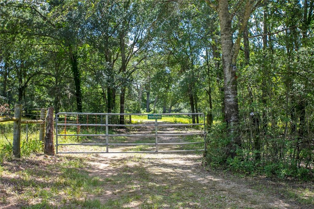 10026 County Road 305 - Photo 1