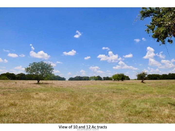 TBD/12 State Hwy 6 - Photo 1